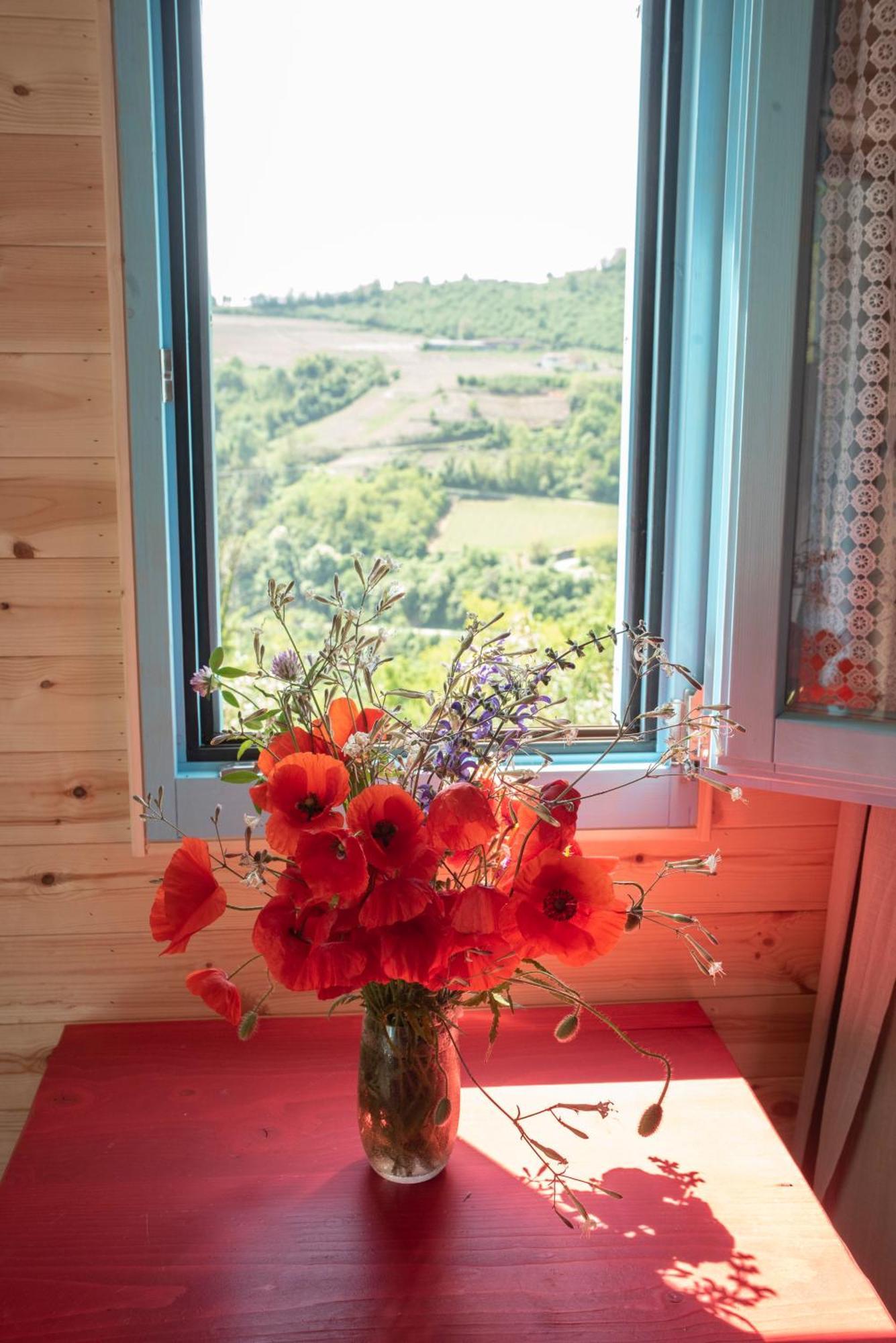 Agriturismo La Rovere - I Carrozzoni Gitani Cossano Belbo Luaran gambar